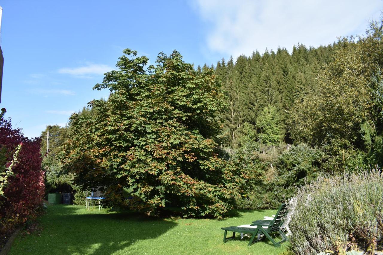 Ferienwohnung Sternkopf Breitenbrunn  Exterior foto